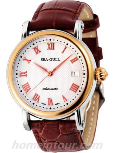 海鸥手表219.369男表商务运动系列-棕色表带/表径—mm