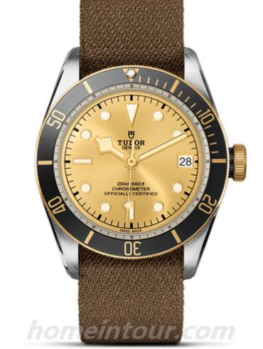 帝舵79733N-0006男表碧湾系列-棕色表带/表径41mm