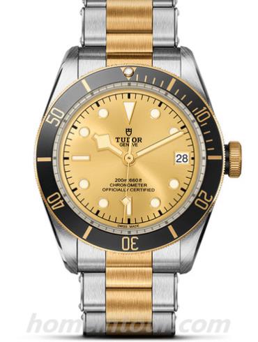 帝舵79733N-0004男表碧湾系列-金钢色表带/表径41mm