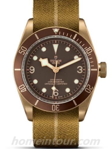 帝舵79250BM-0003男表碧湾系列-棕色表带/表径43mm