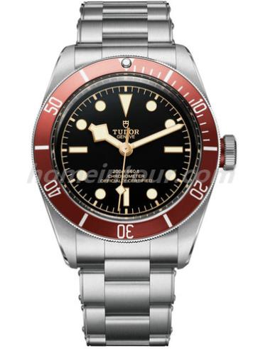 帝舵79230R_Silver男表Heritage系列-银色表带/表径41mm