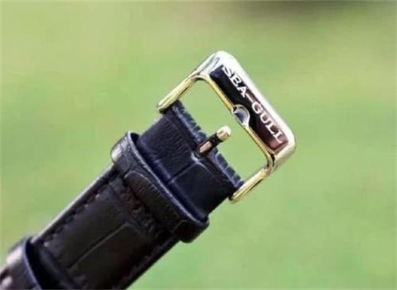 海鸥维修|（海鸥维修）海鸥手表的表带扣怎样更换？